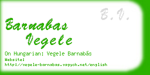 barnabas vegele business card